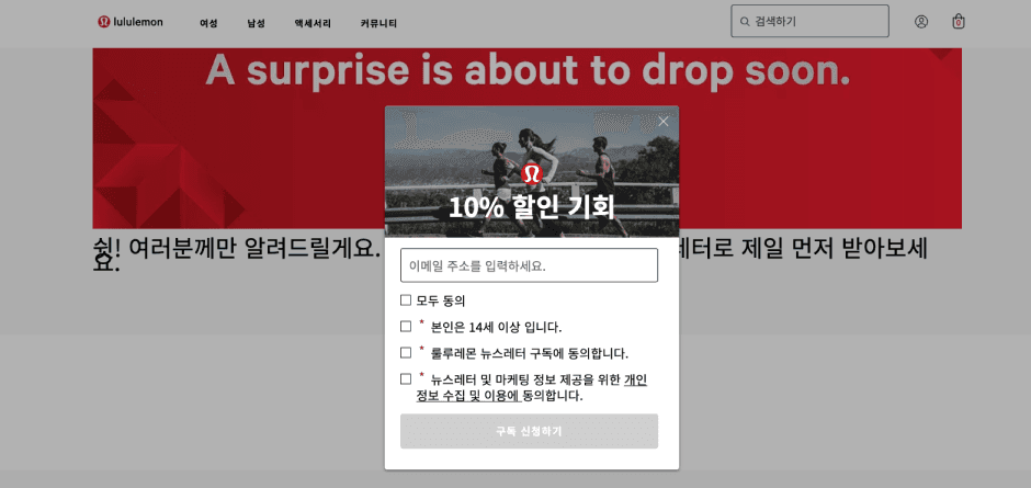 뉴스레터를 구독하면 10% 할인 코드를 받을 수 있다.